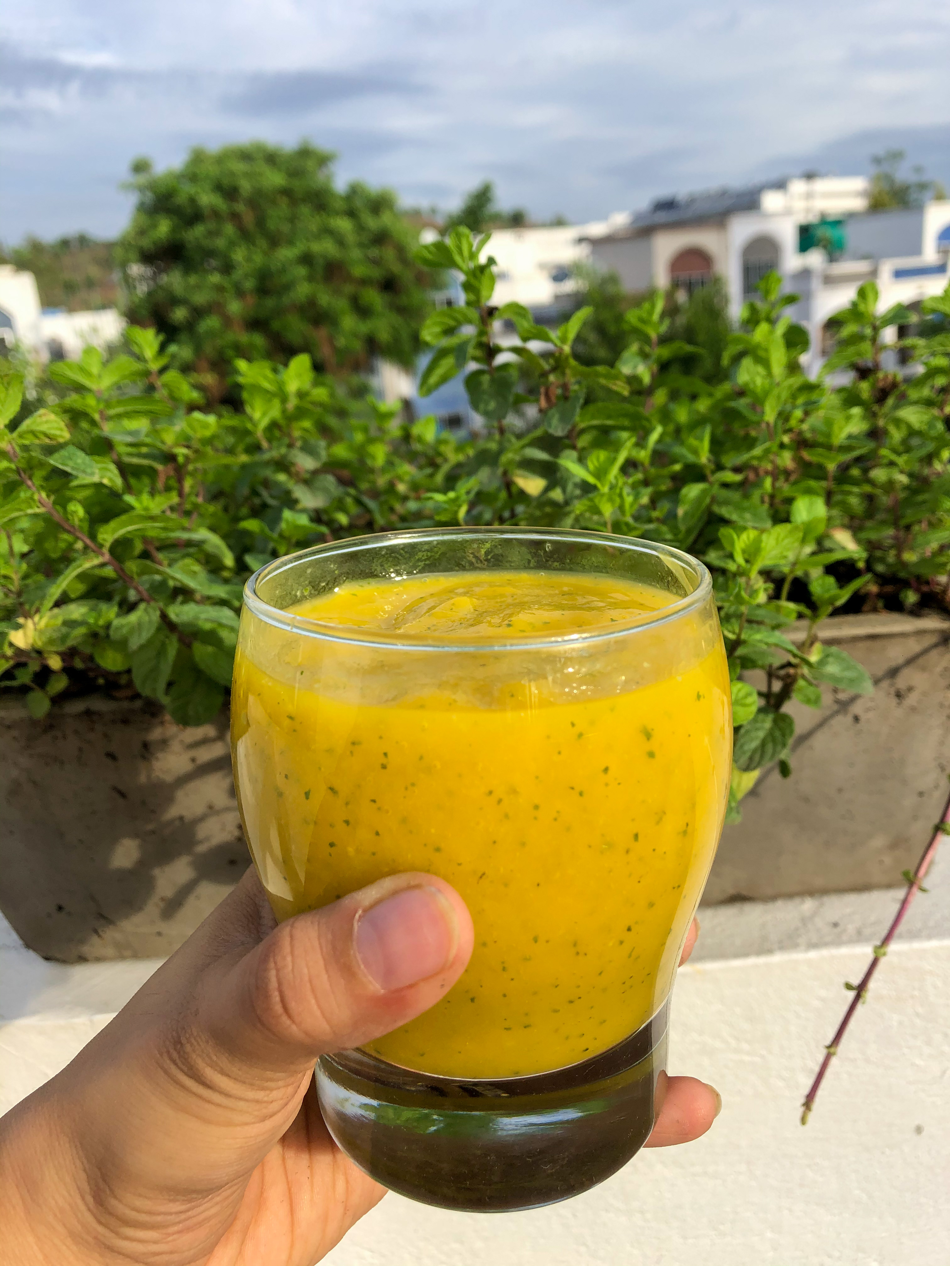 Vegan Minty Mango Smoothie
